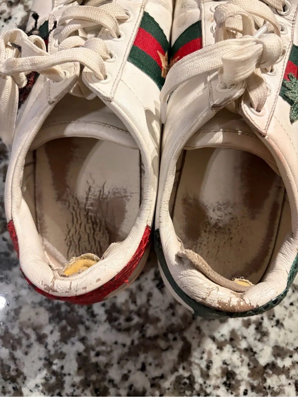 Gucci Embroidered Pineapple & Ladybug Sneakers